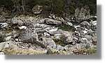 Aigüestortes_112.jpg