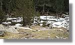 Aigüestortes_116.jpg