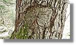 Conangles_032.jpg