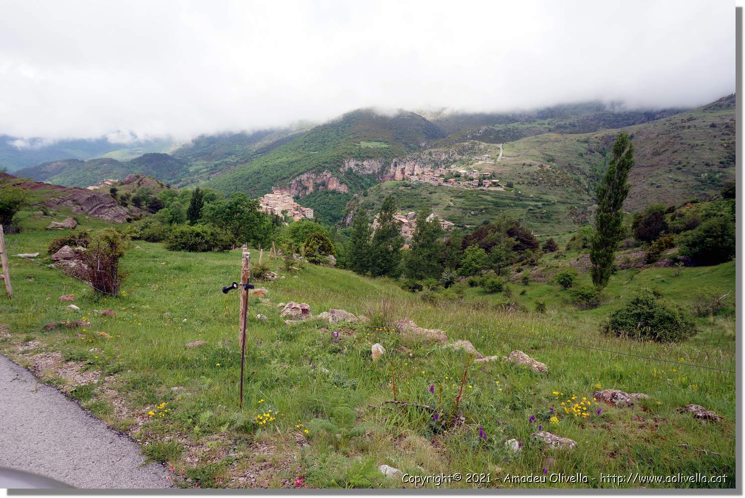 Llobregat_002.jpg