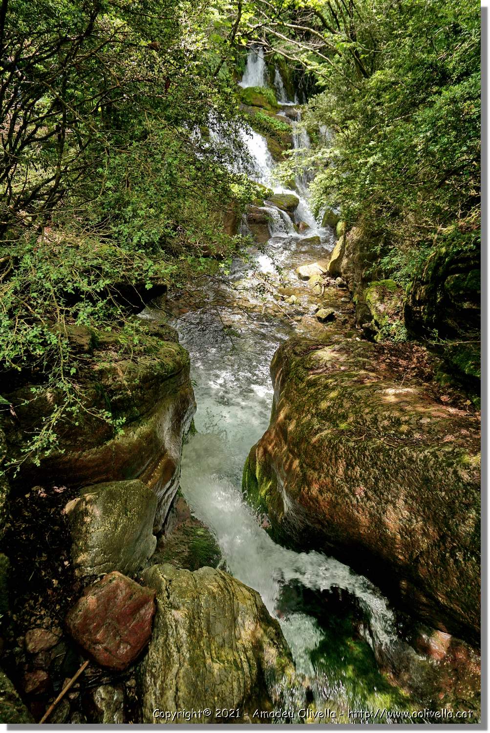 Llobregat_023.jpg