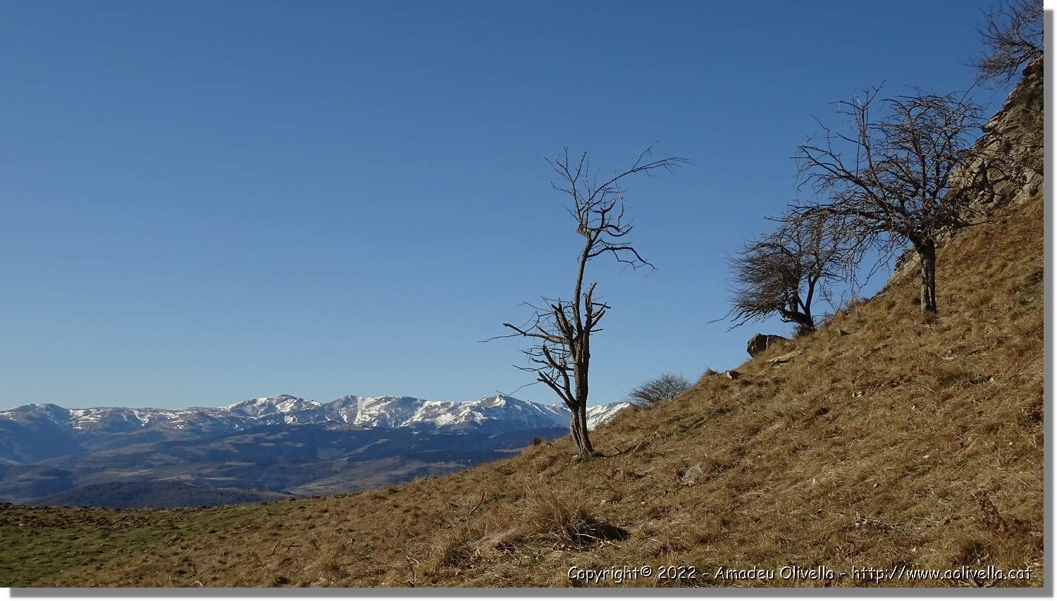 Comanegra_081.jpg