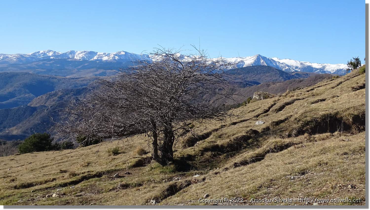 Comanegra_090.jpg