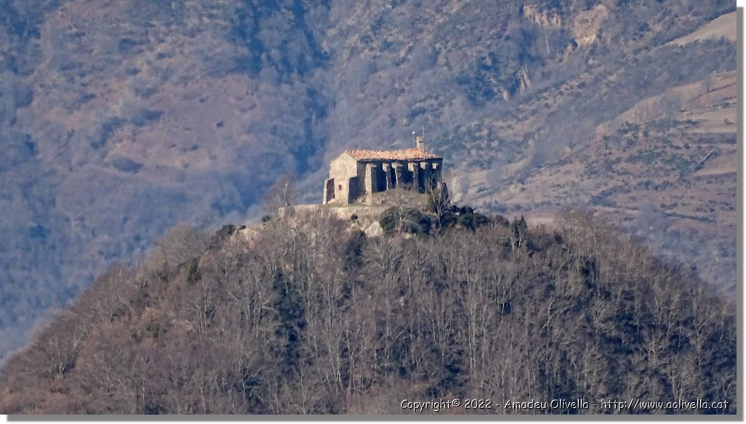 Puig-Ou_022.jpg