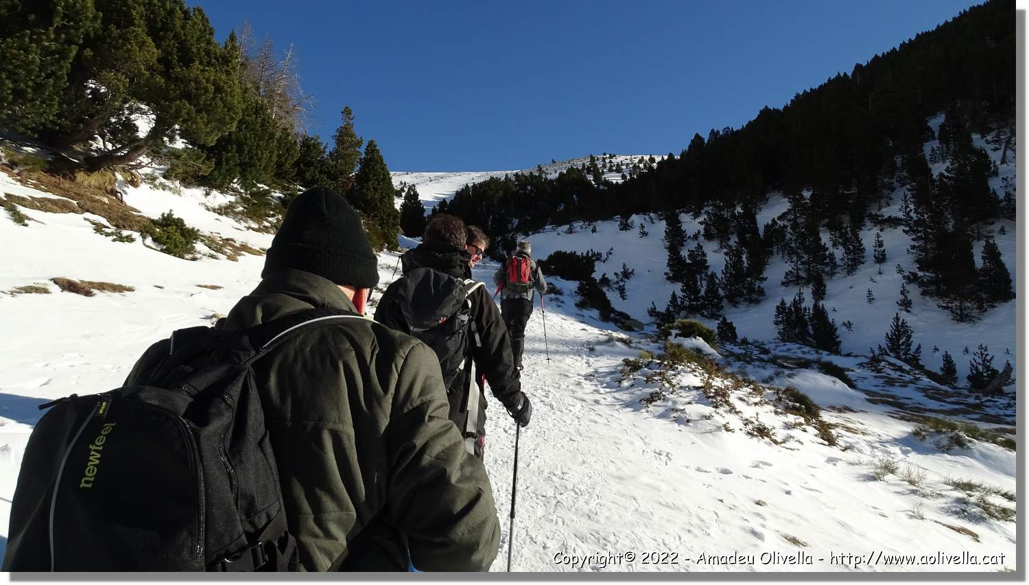 Vallter_003.jpg