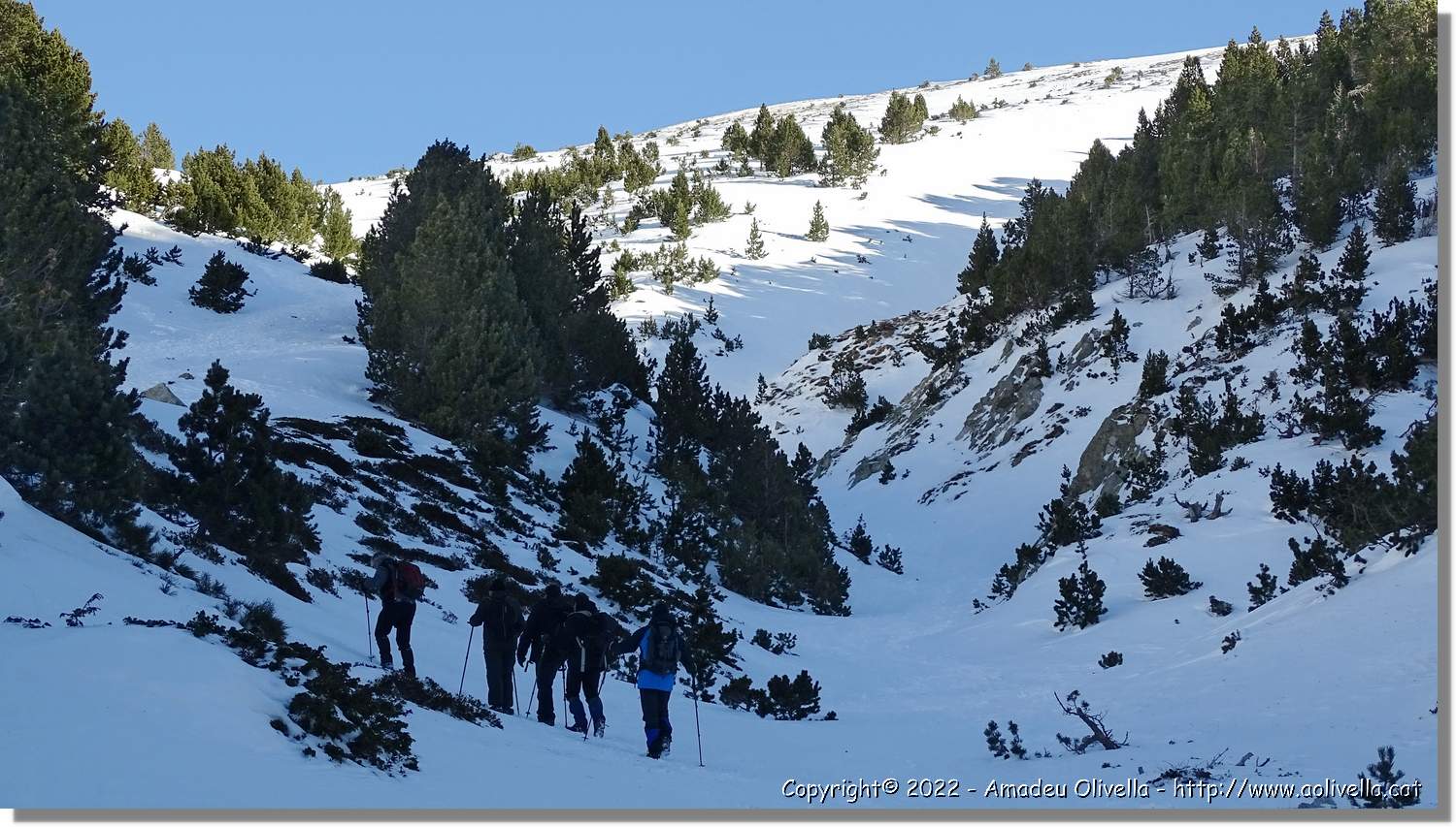 Vallter_010.jpg