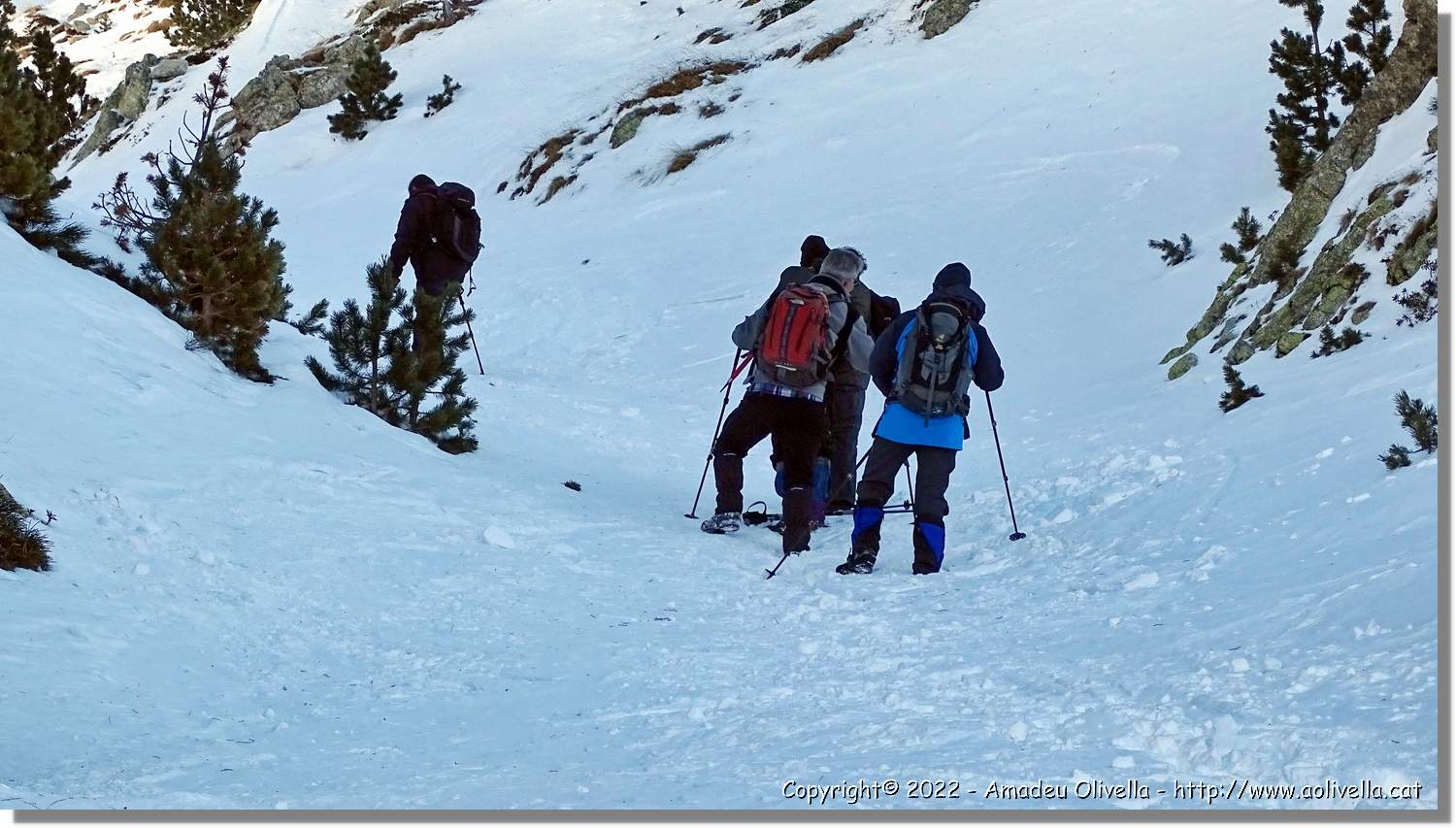 Vallter_017.jpg