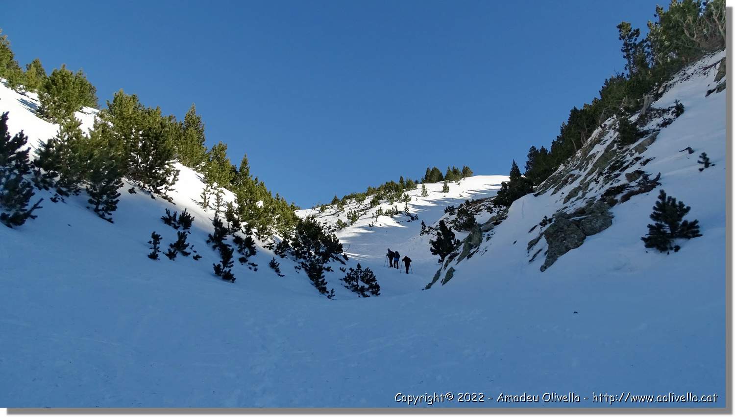 Vallter_021.jpg