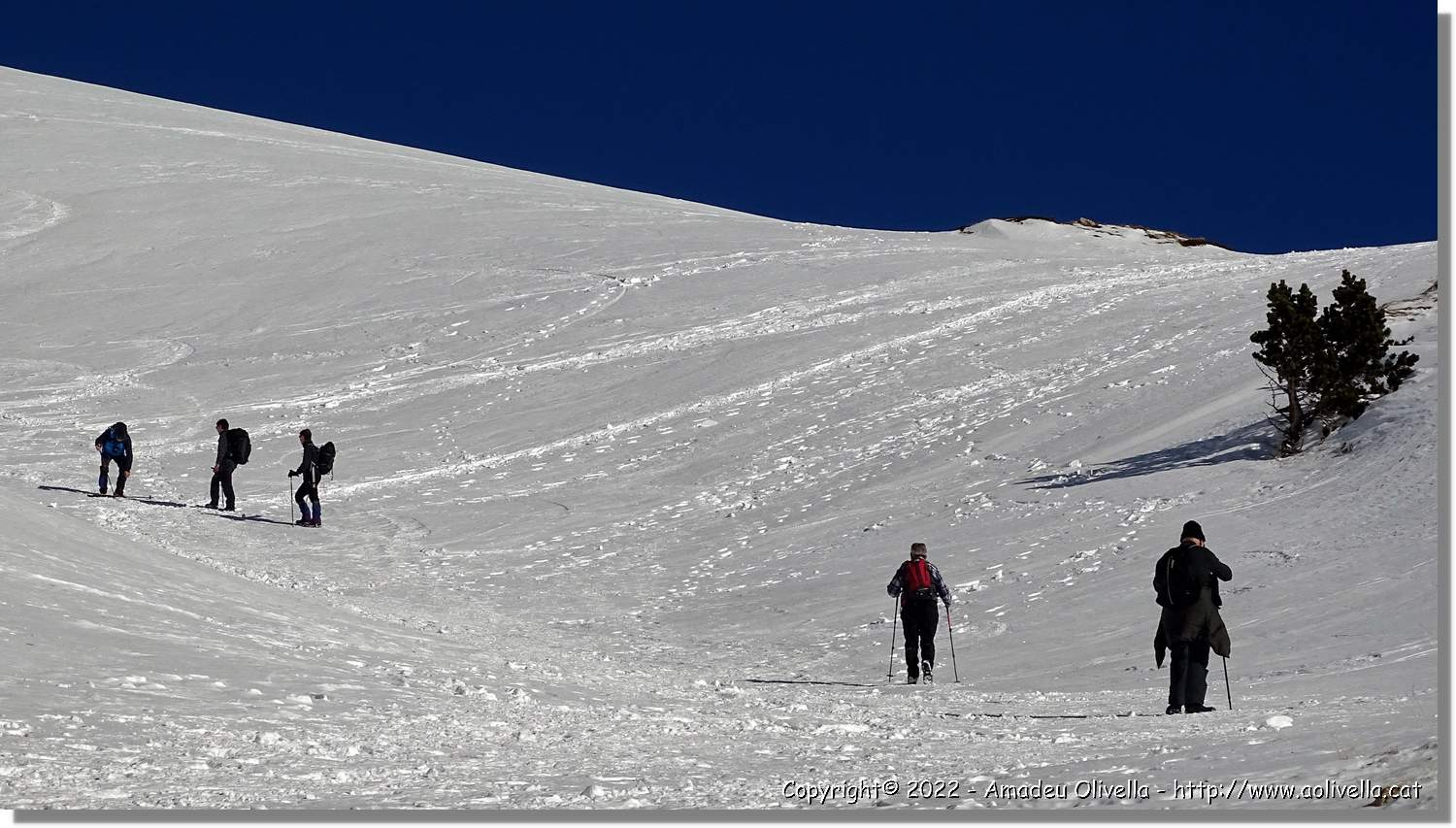 Vallter_036.jpg