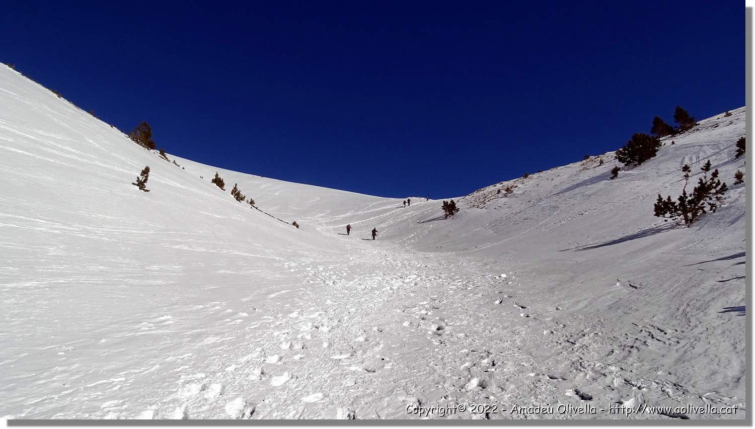 Vallter_039.jpg