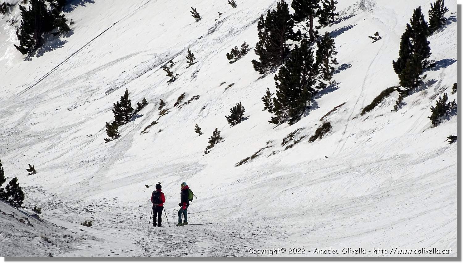 Vallter_085.jpg