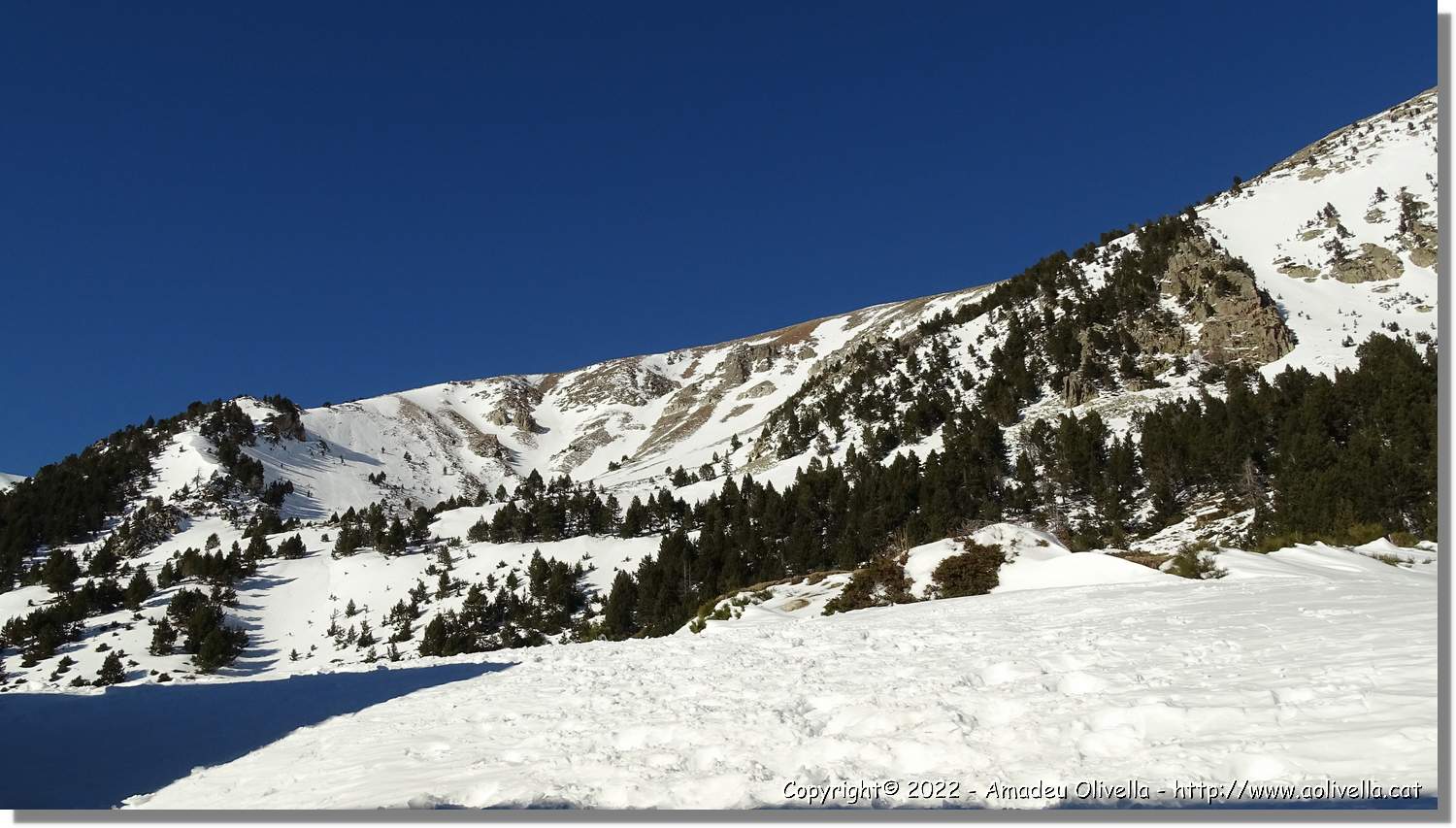 Vallter_098.jpg