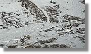 Vallter_078.jpg