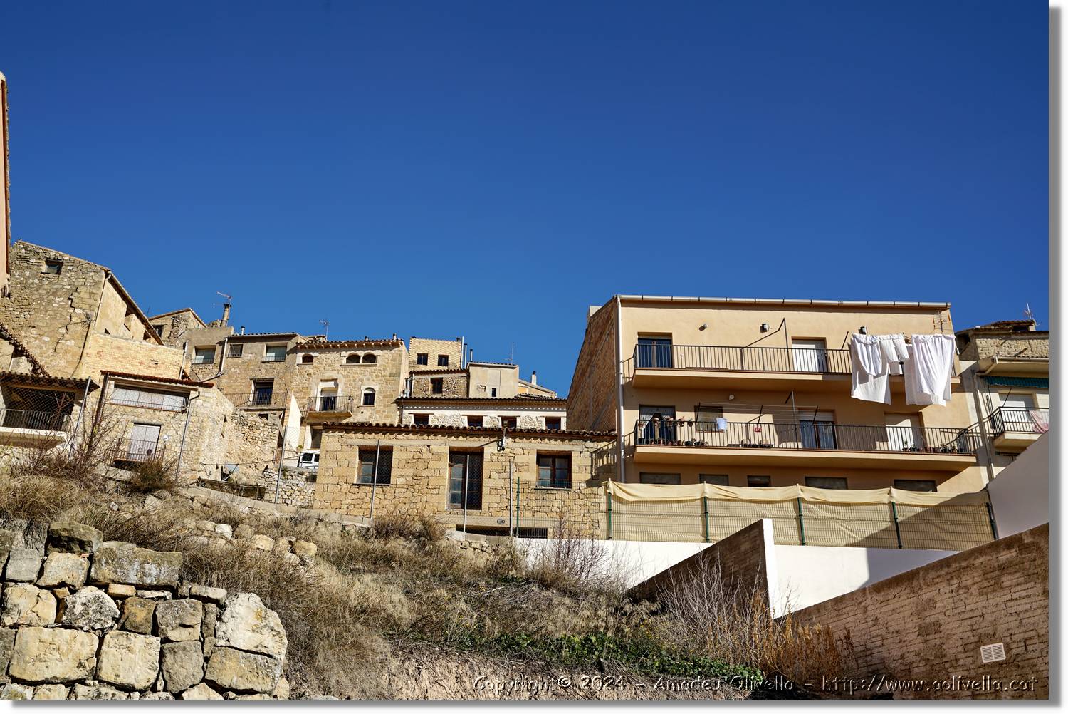 Horta_044.jpg