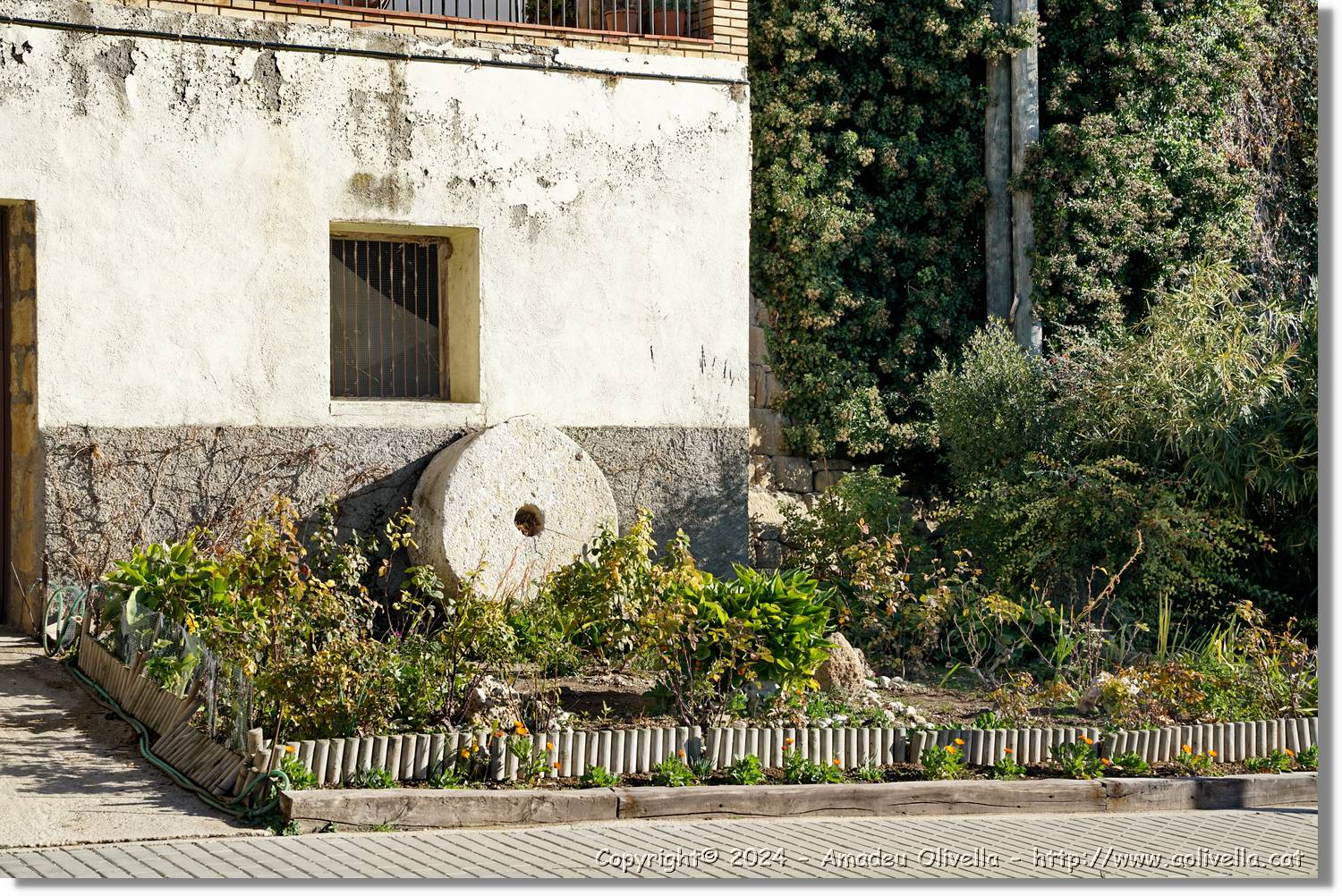 Horta_054.jpg