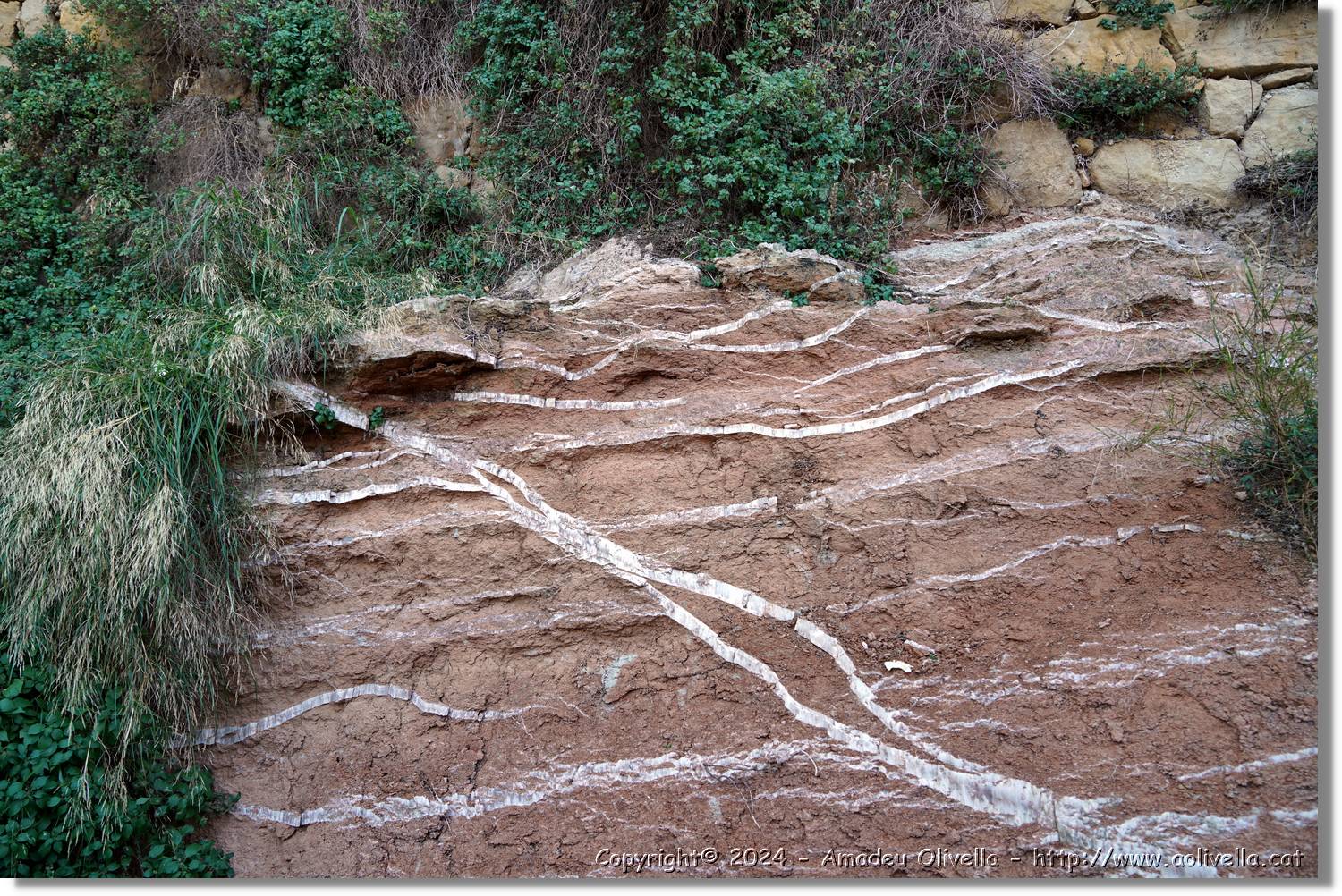 Horta_062.jpg