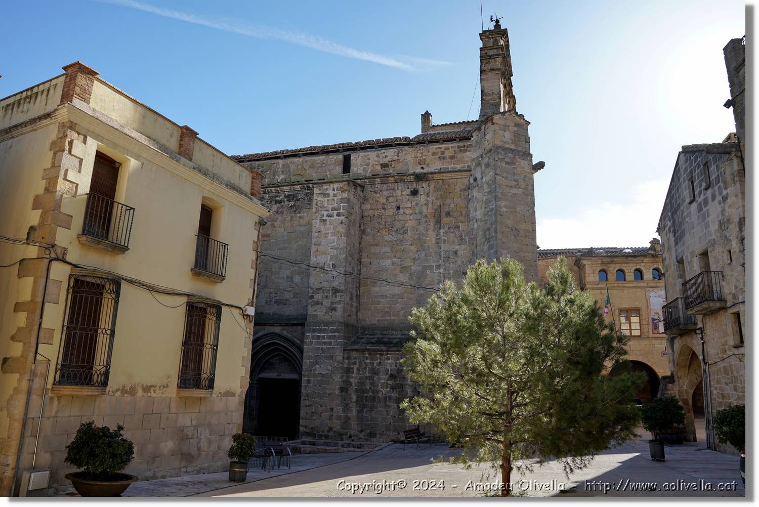Horta_069.jpg