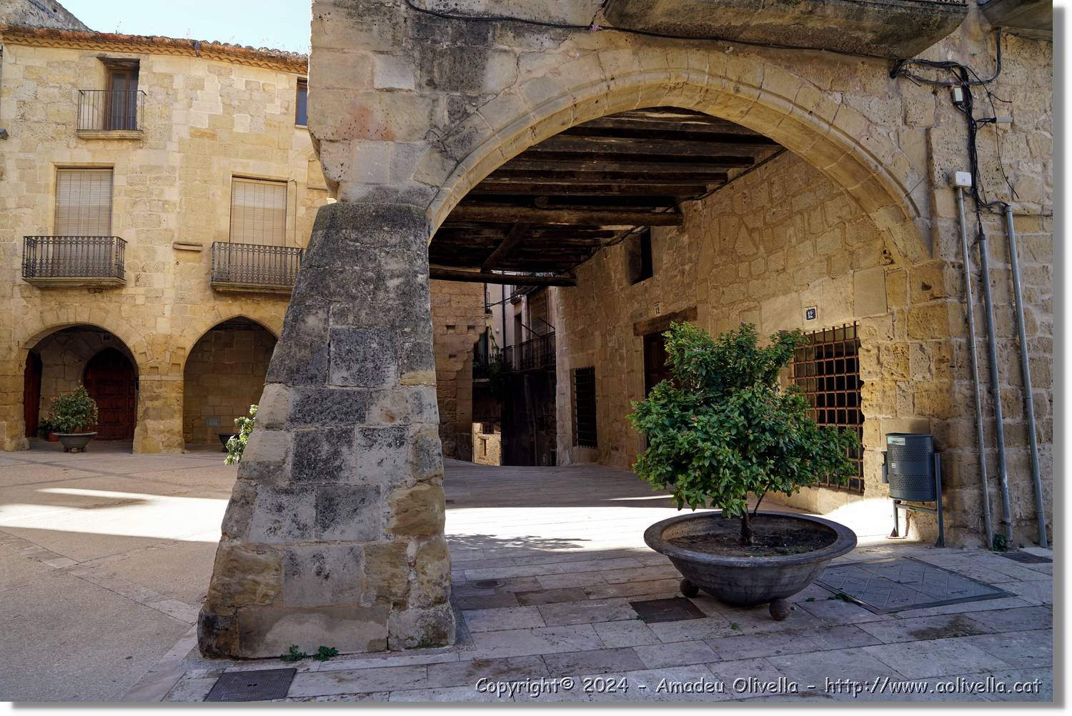 Horta_074.jpg