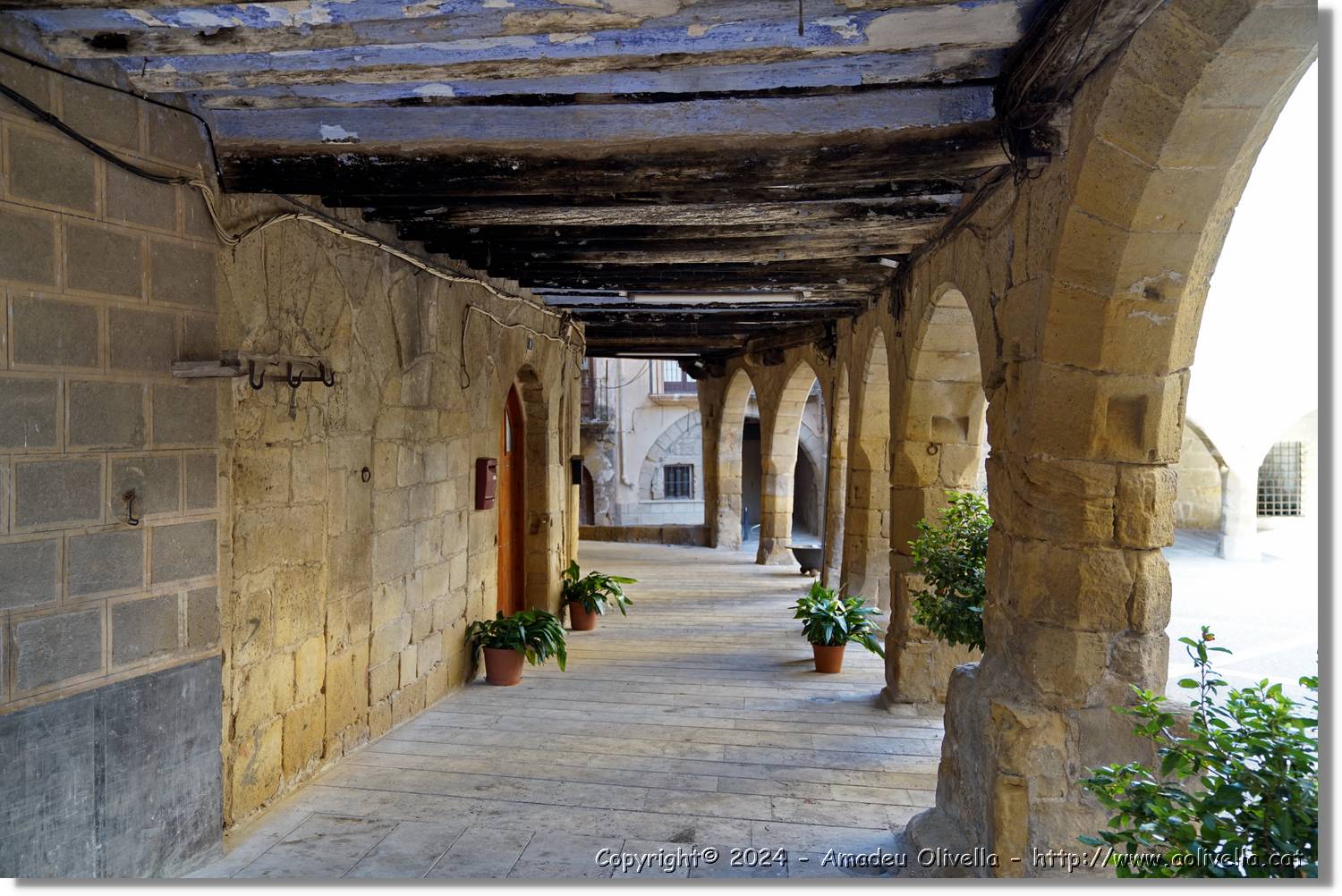 Horta_081.jpg