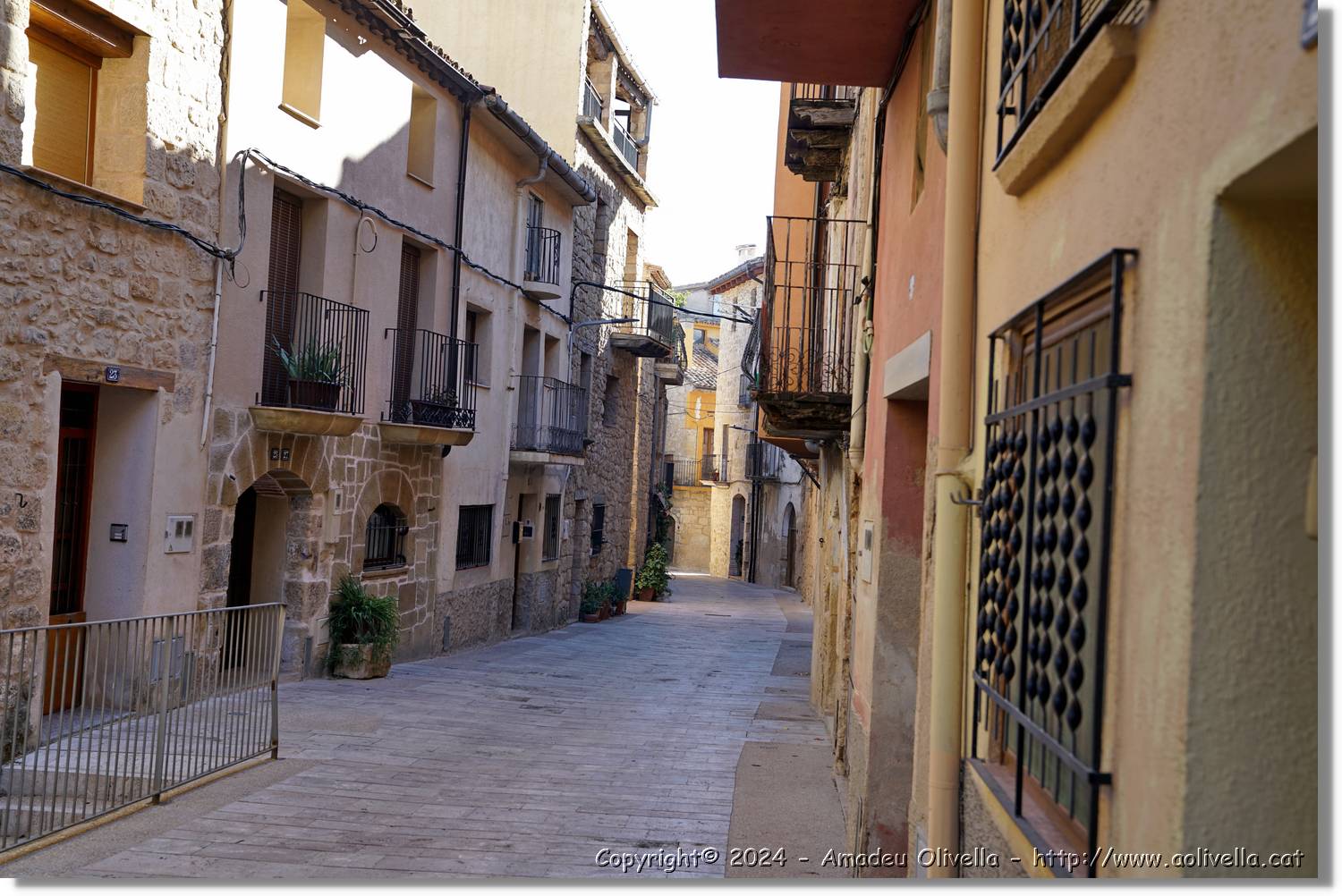 Horta_092.jpg
