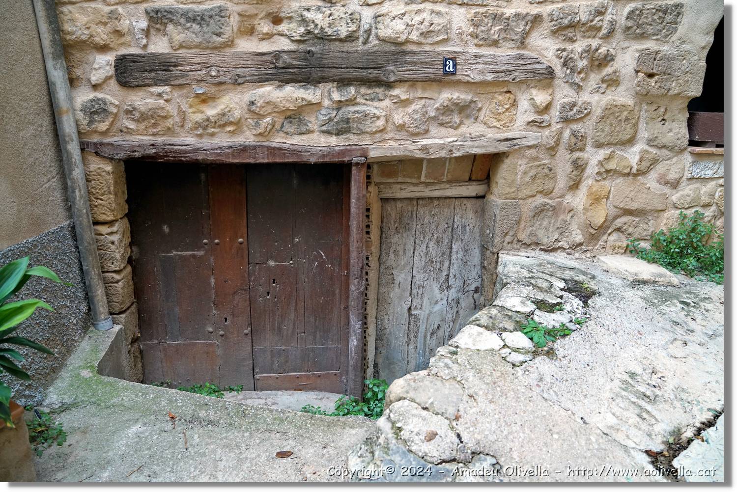 Horta_116.jpg