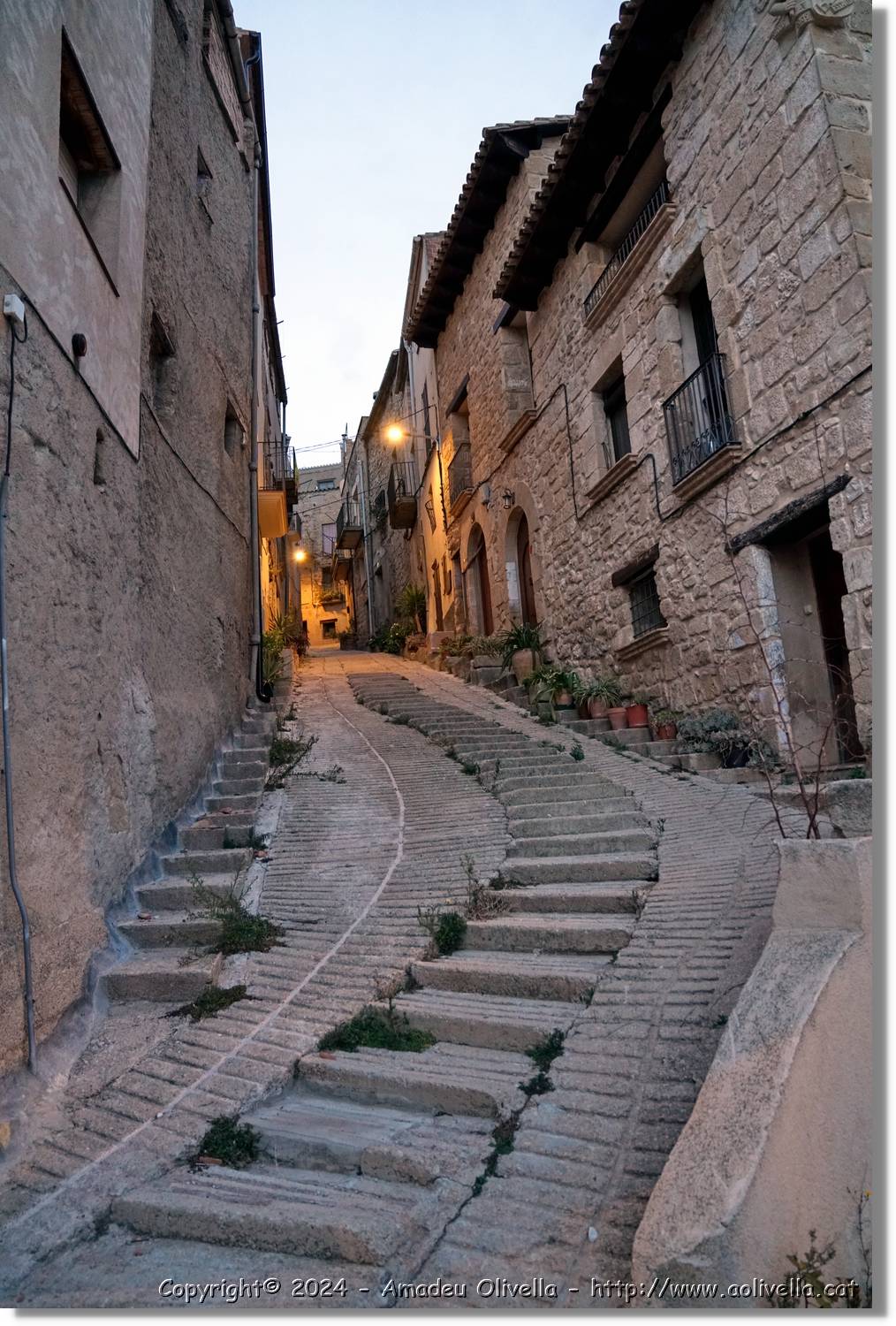 Horta_121.jpg