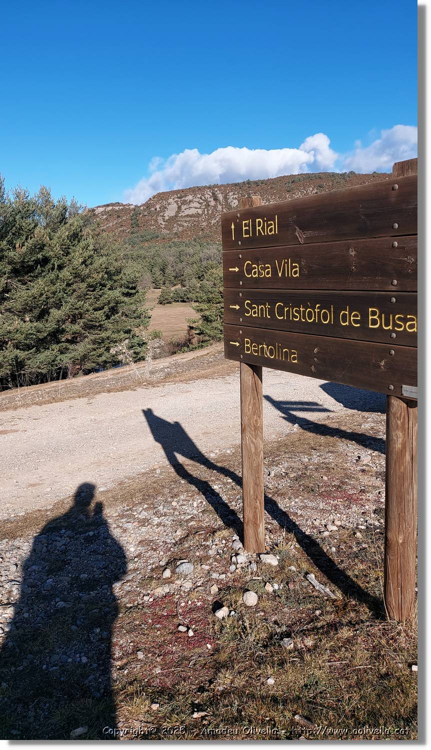 Busa_053.jpg