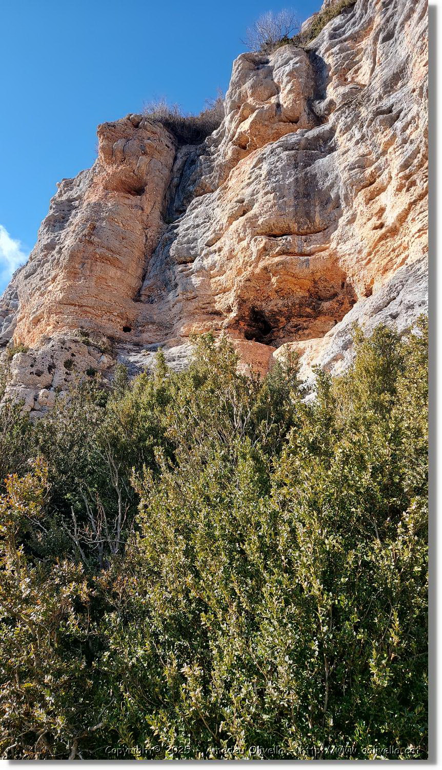 Canalda_014.jpg