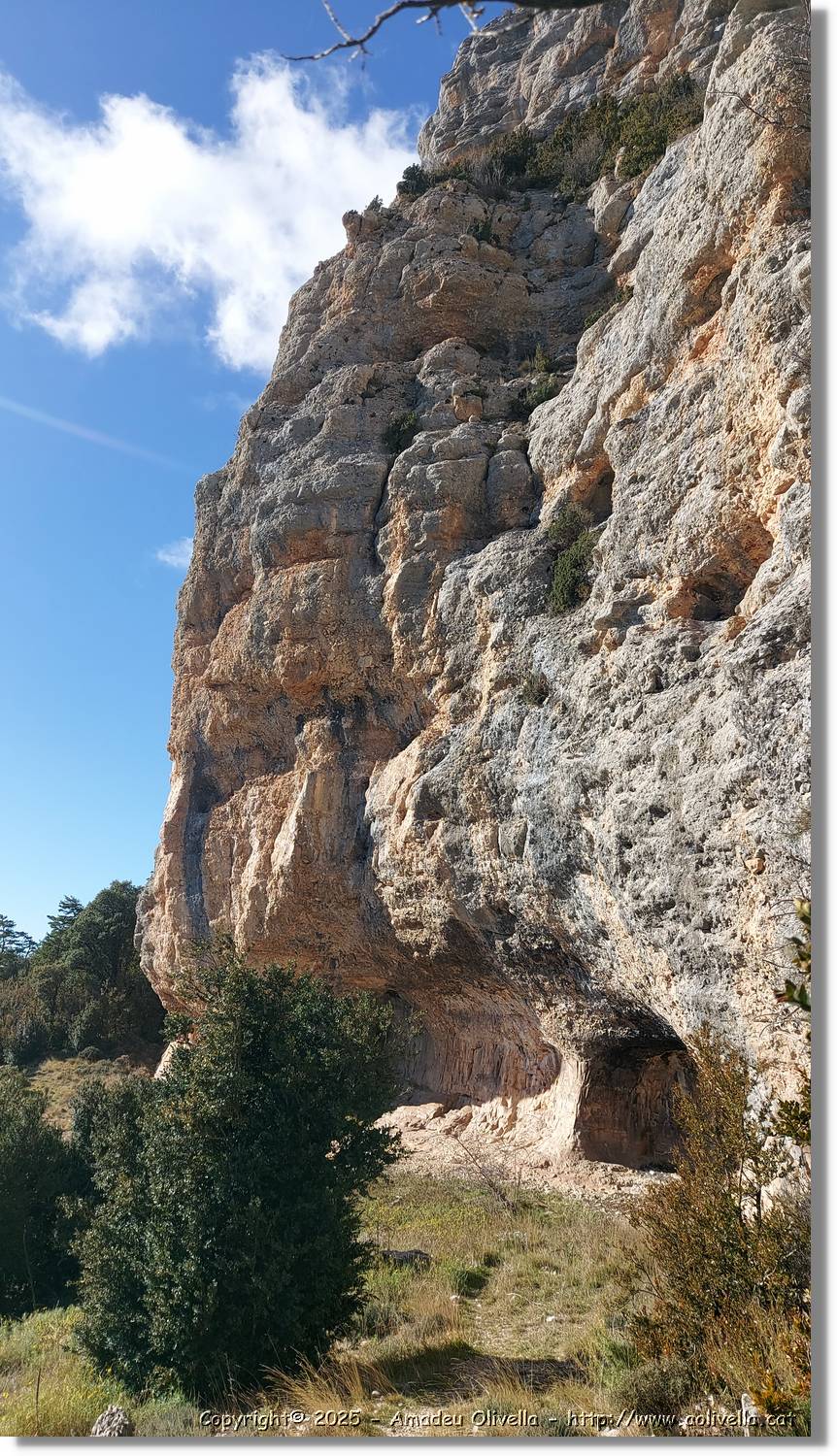 Canalda_025.jpg