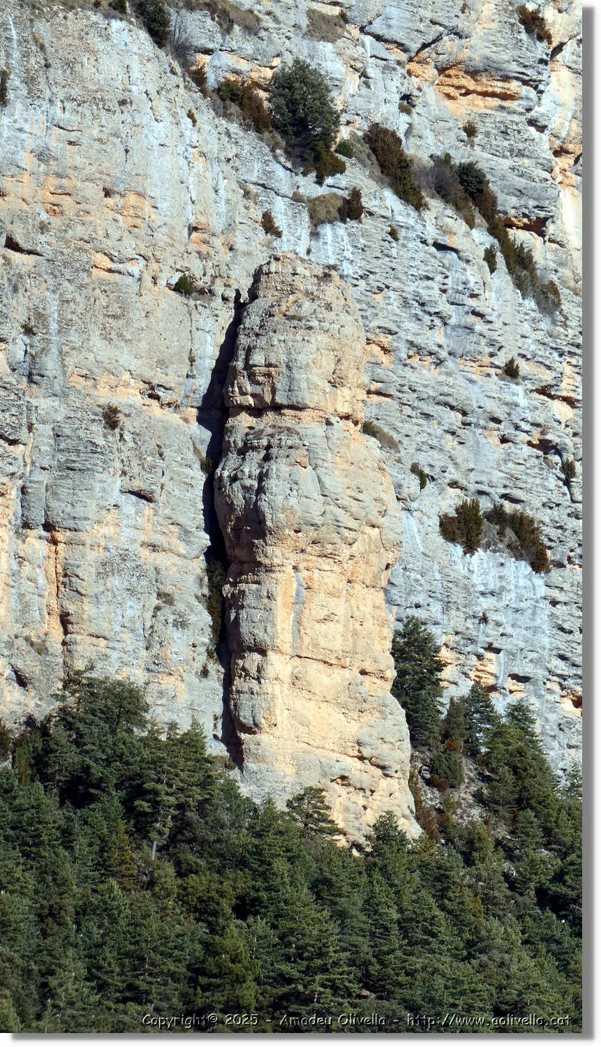 Canalda_100.jpg