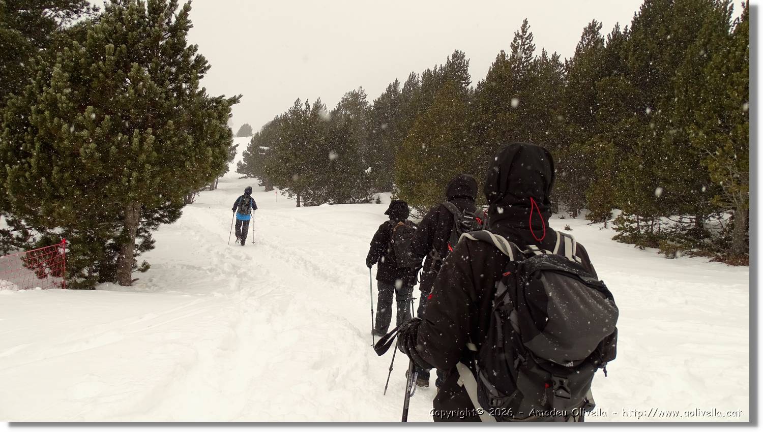 Cerdanya_005.jpg