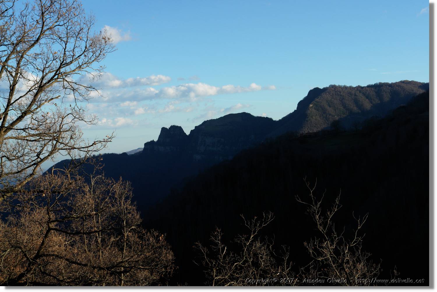 Bellmunt_82.jpg