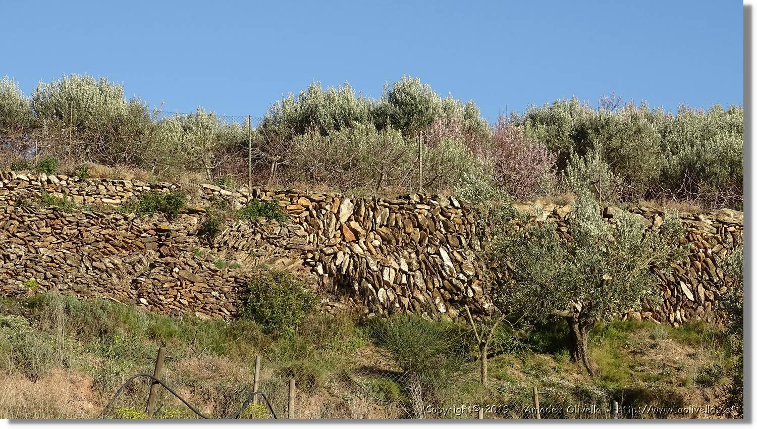 CanRiera_165.jpg