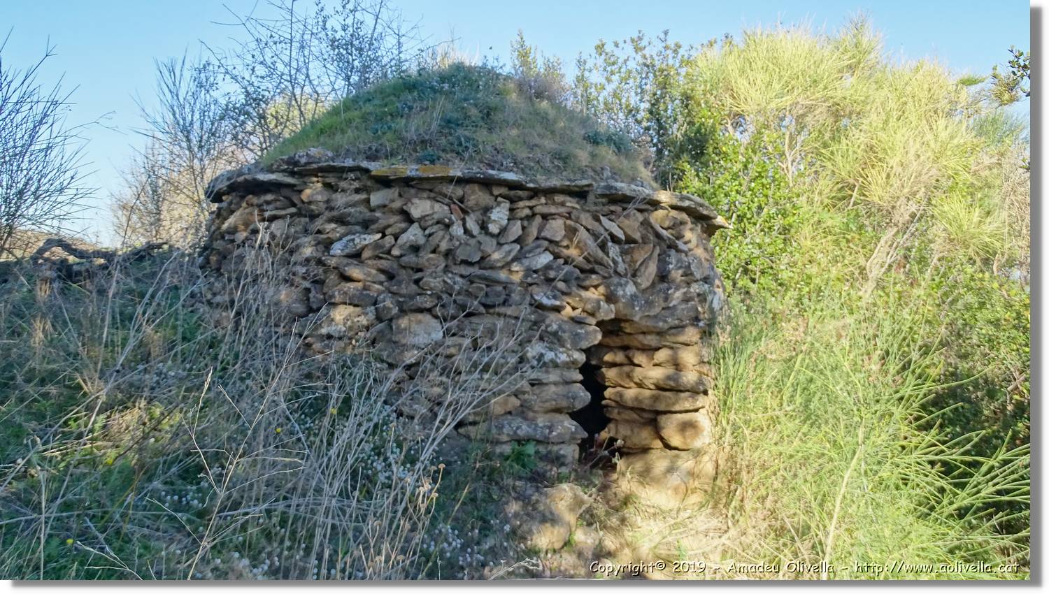 CanRiera_169.jpg