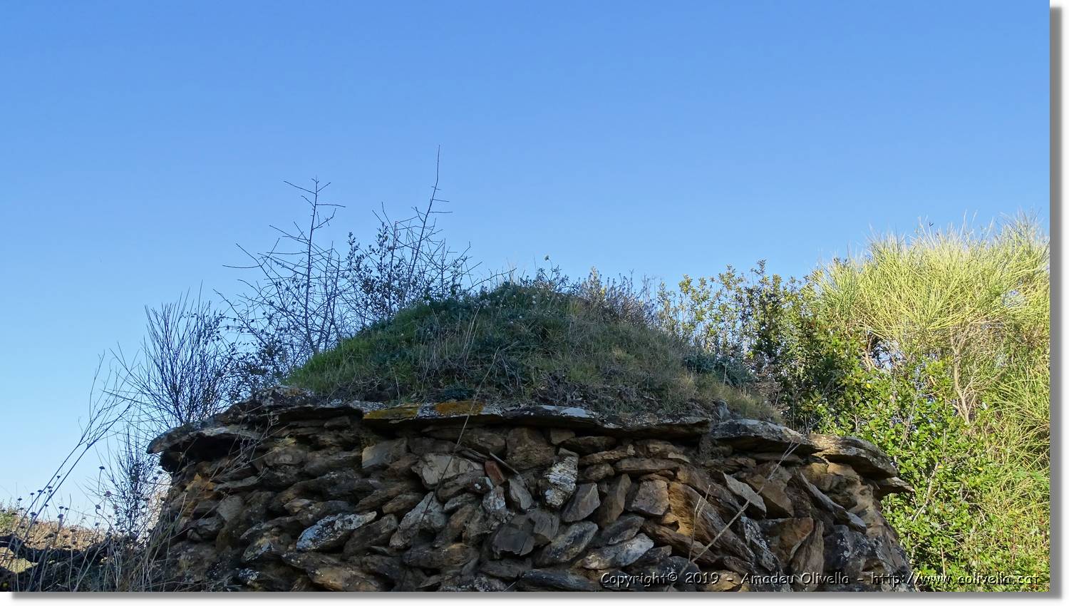 CanRiera_172.jpg