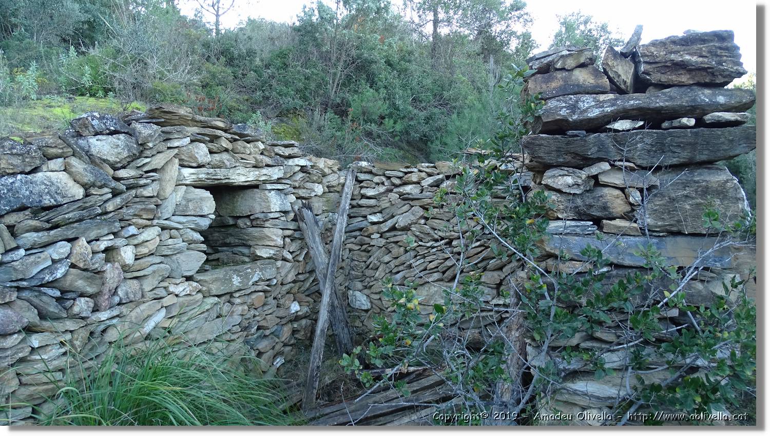 CanRiera_180.jpg