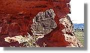CanRiera_110.jpg