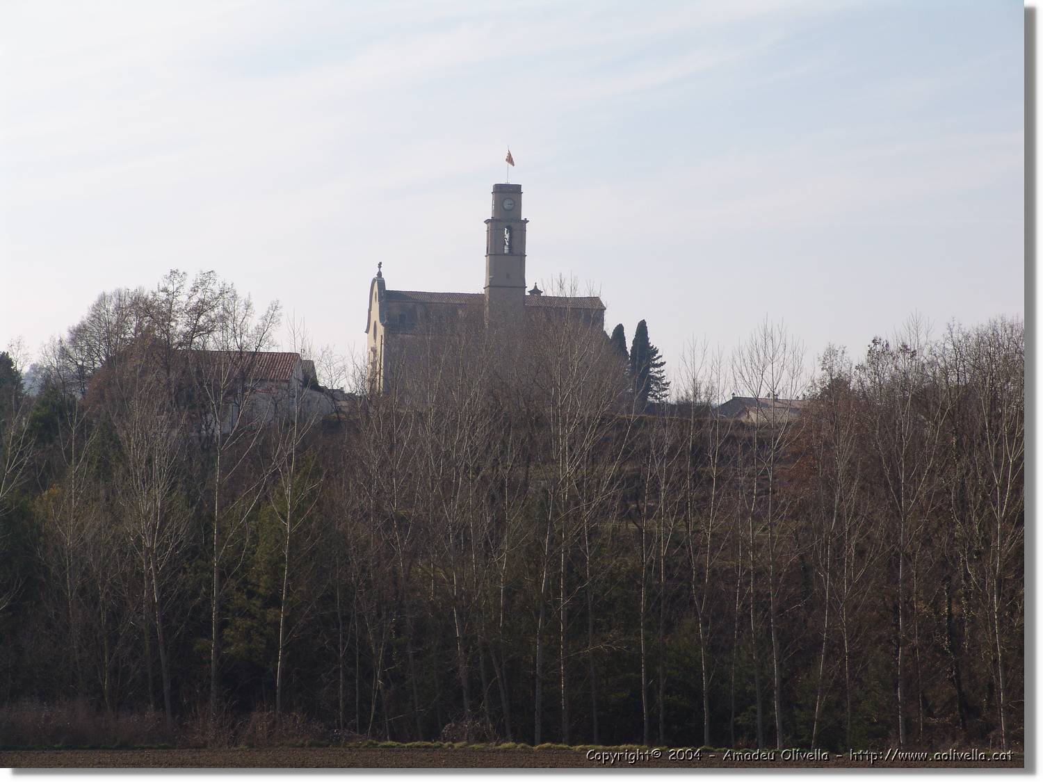 munts_067.jpg