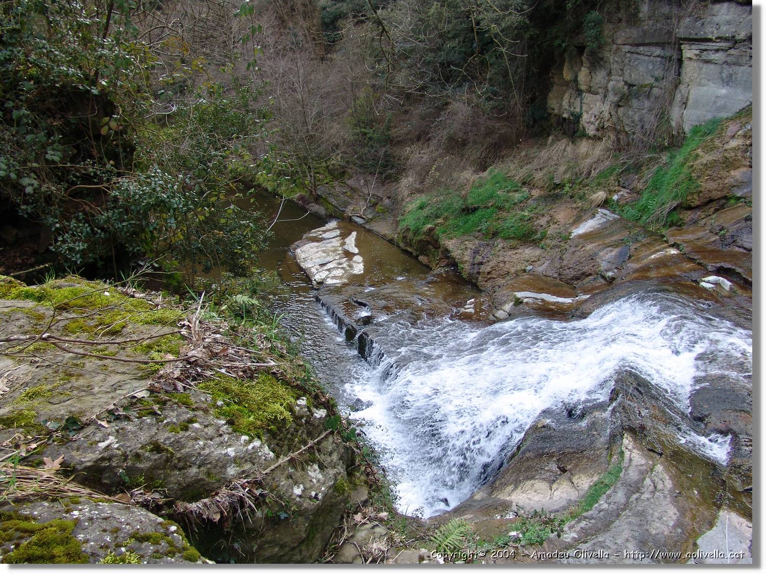 Esquirol_094.jpg