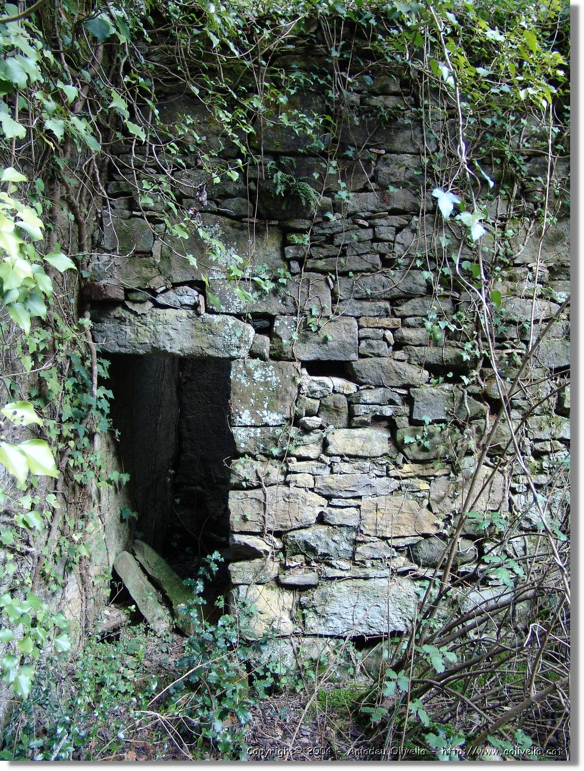 Esquirol_097.jpg