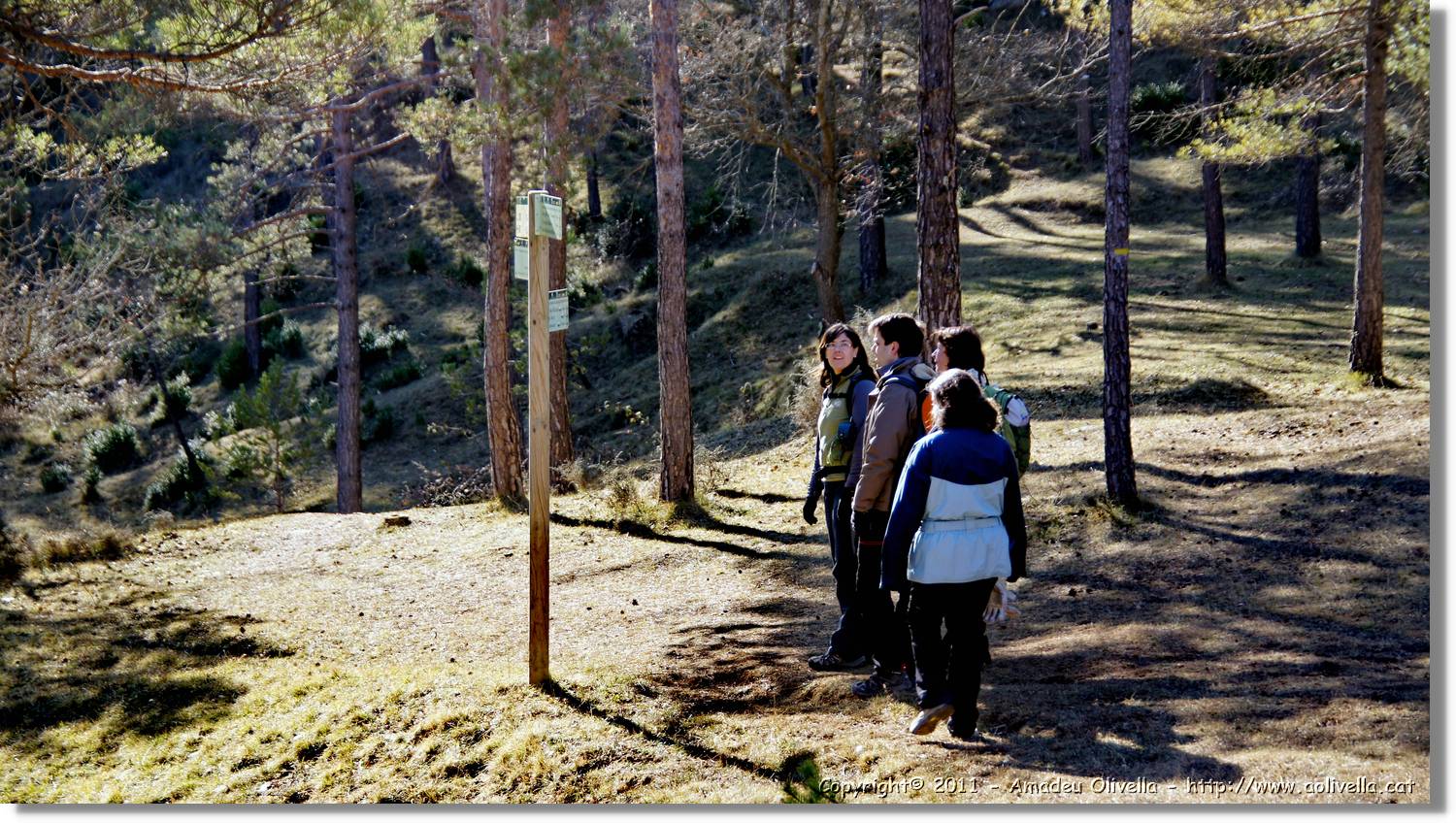 Estiula_126.jpg