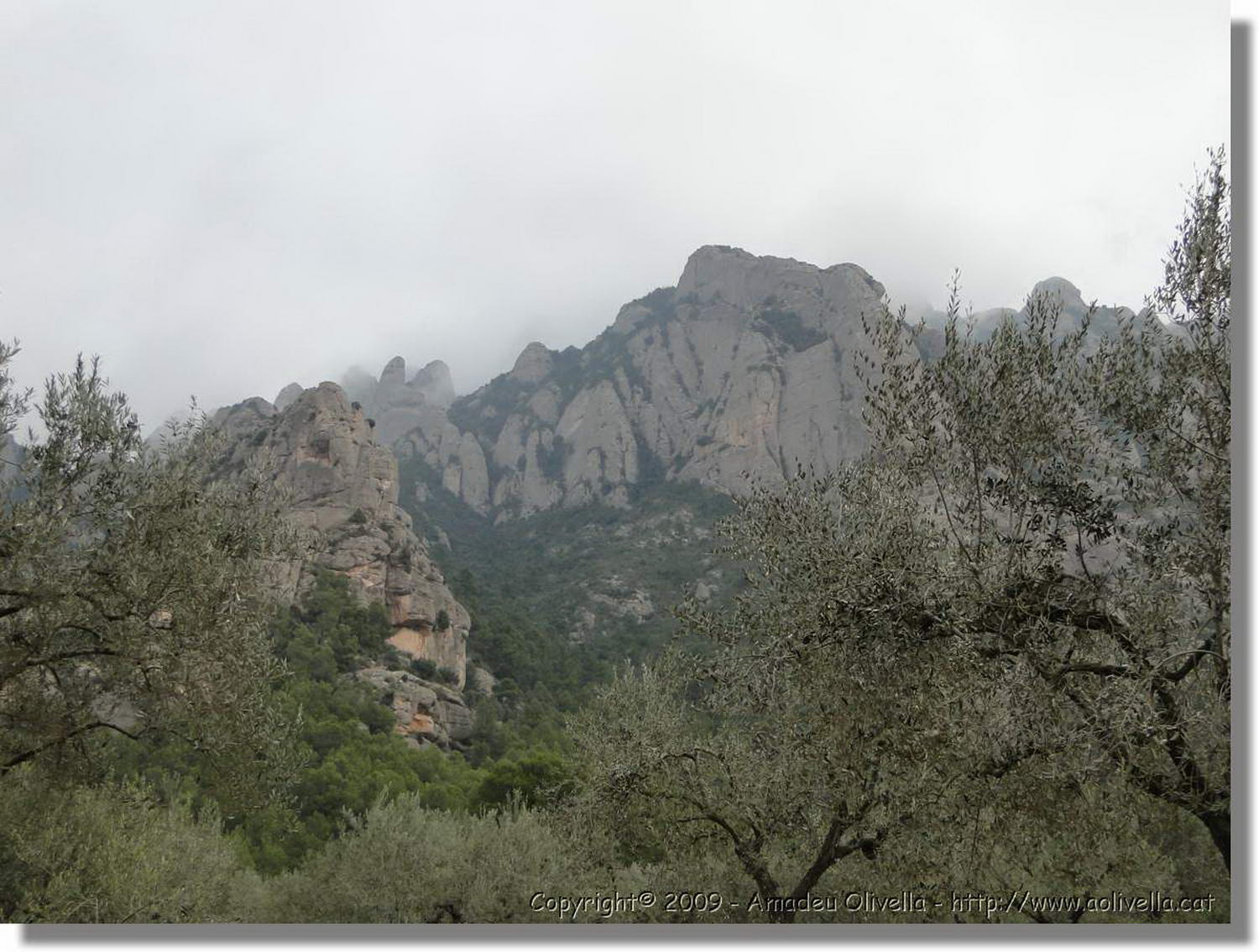 Montserrat_142.jpg