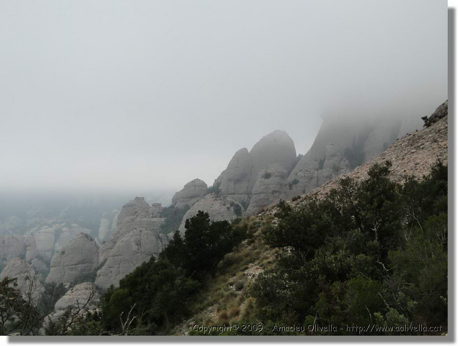 Montserrat_339.jpg