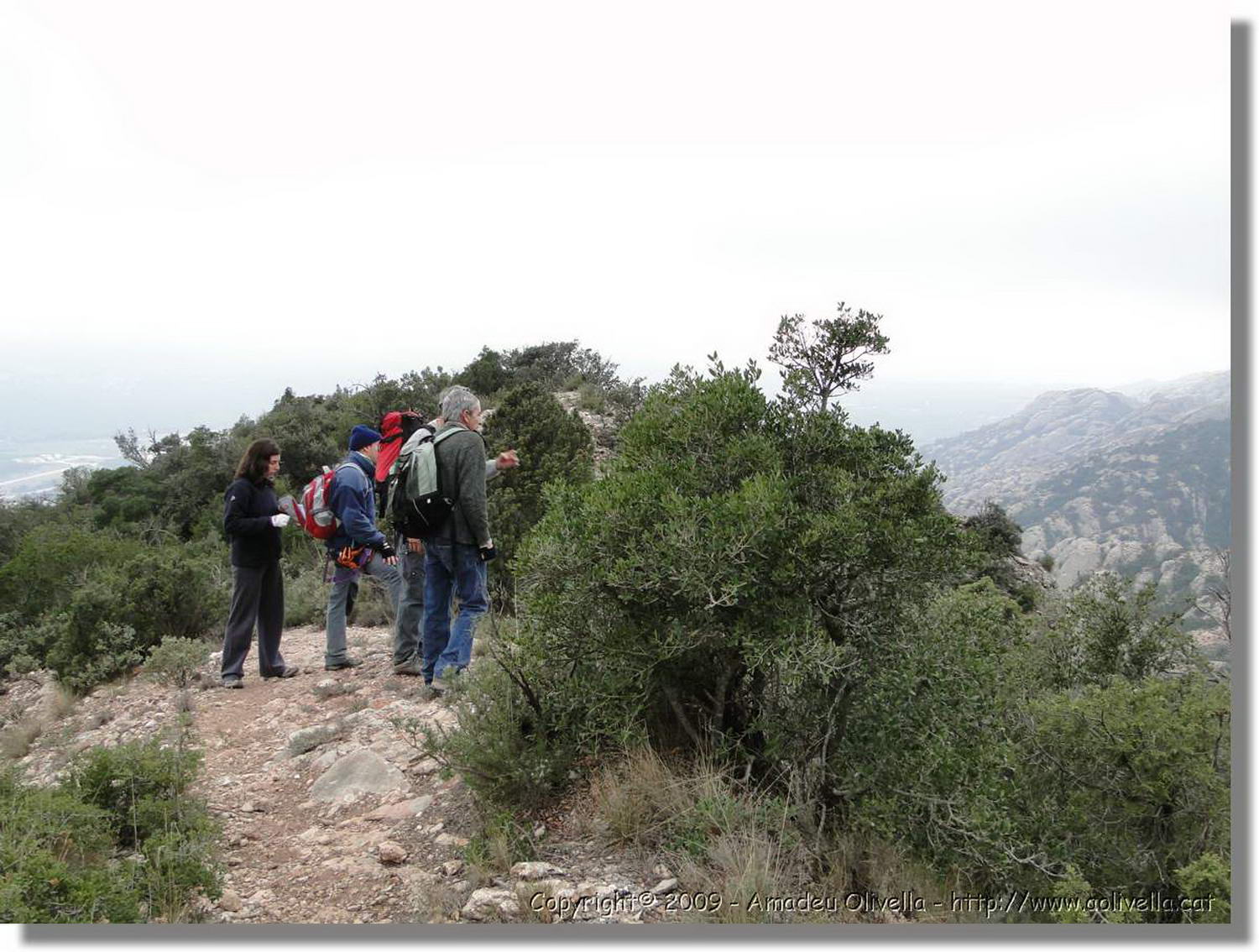 Montserrat_340.jpg