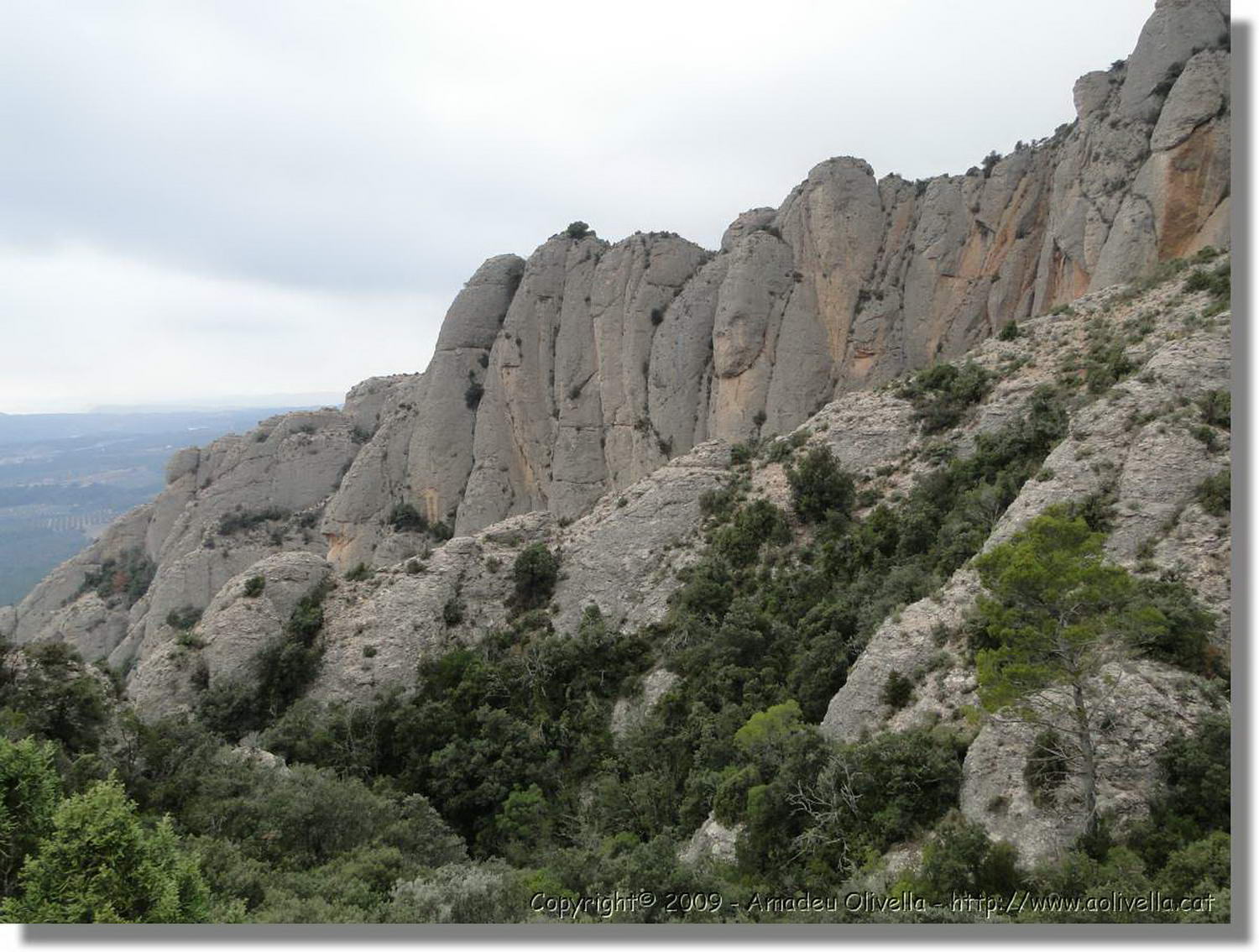 Montserrat_353.jpg