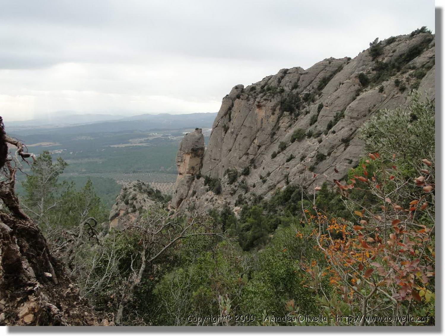 Montserrat_359.jpg