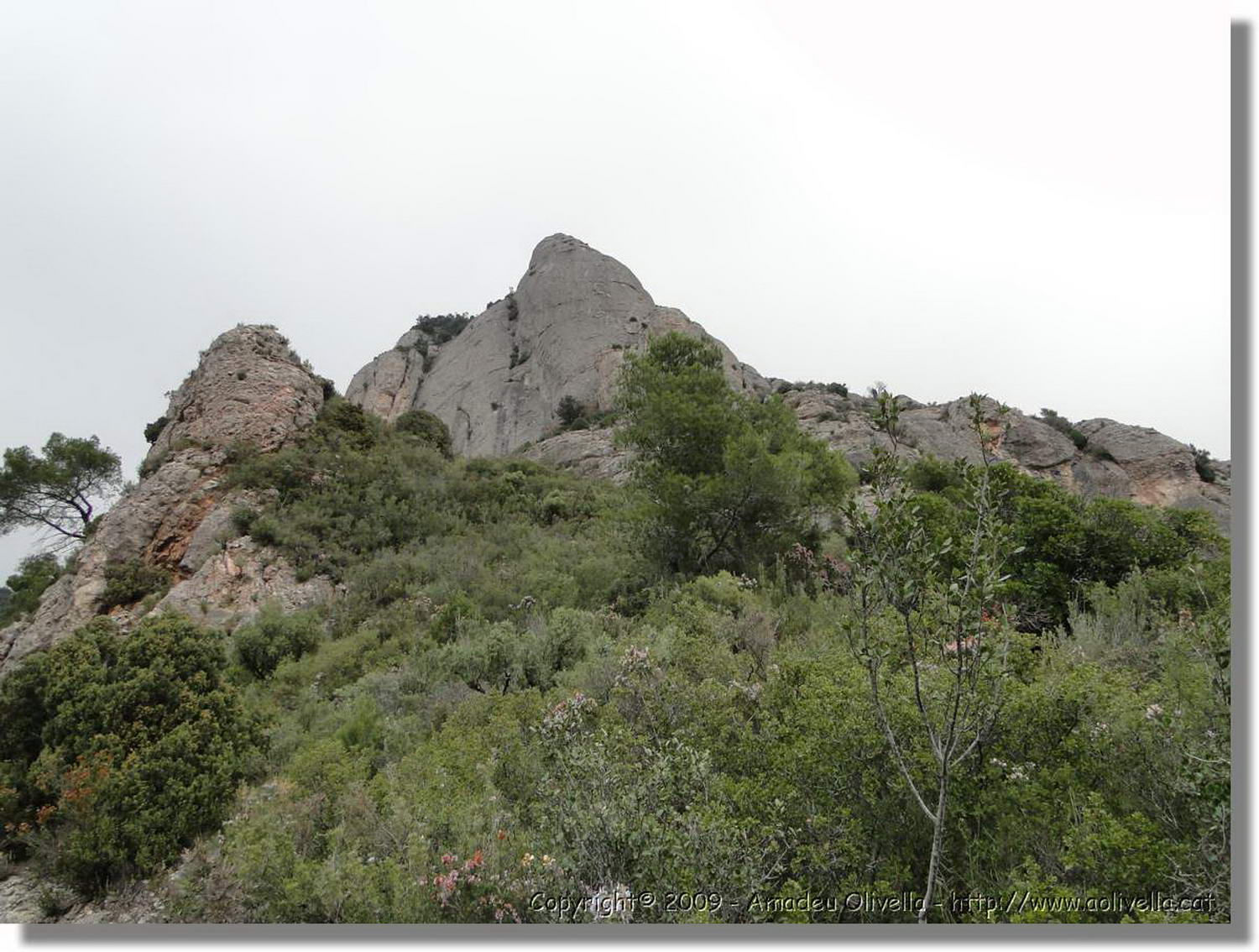 Montserrat_361.jpg