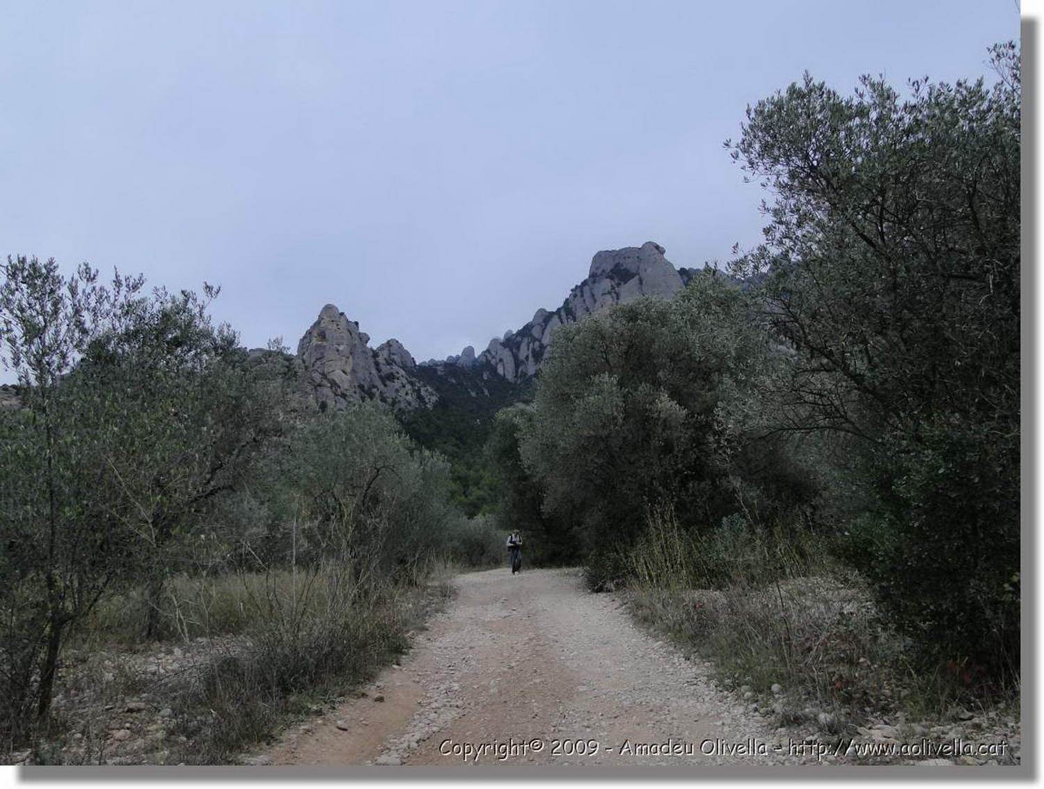Montserrat_364.jpg