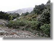 Montserrat_323.jpg