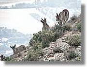 Montserrat_327.jpg